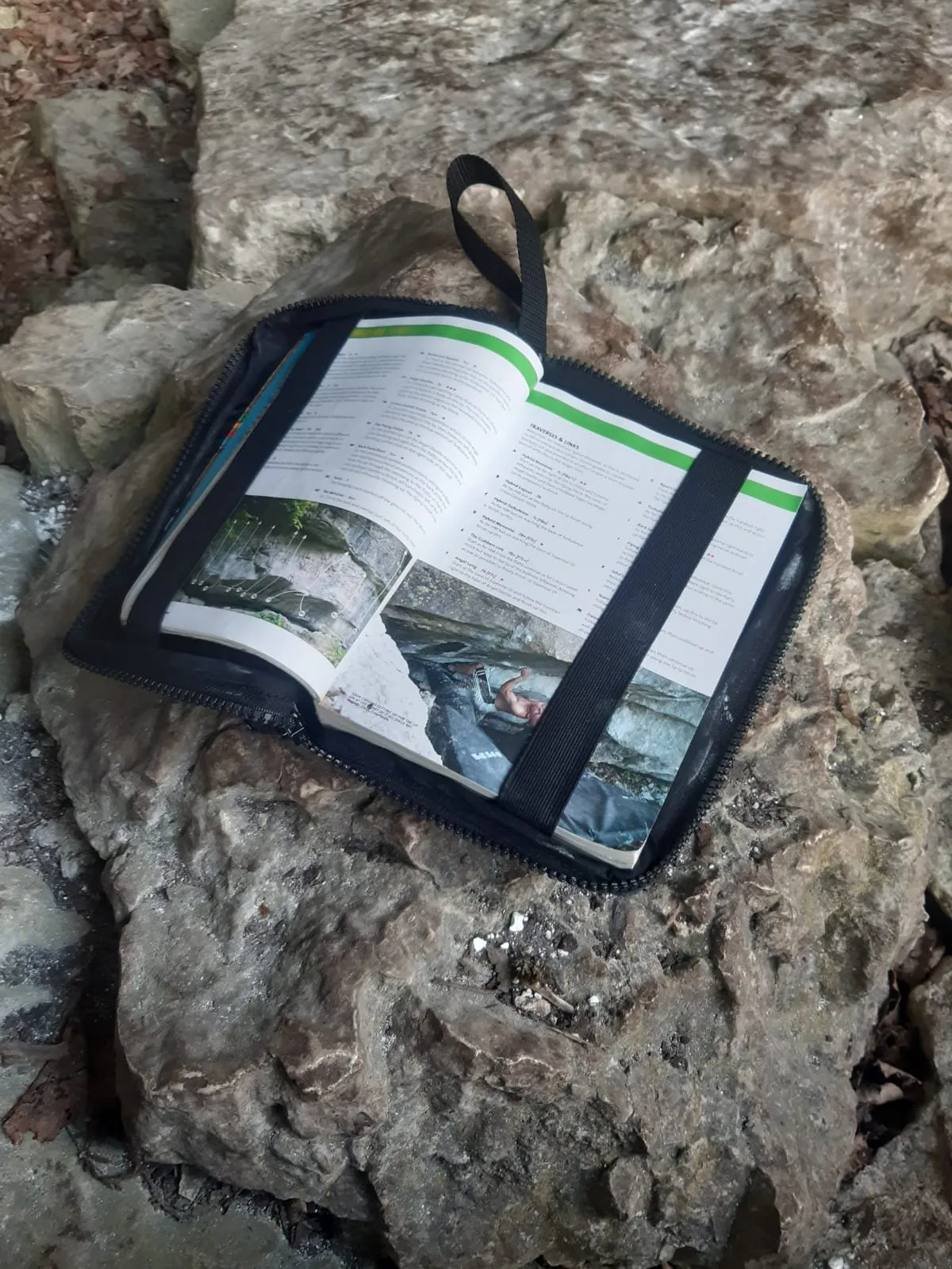 Guide Book Cover: LIMITED EDITION