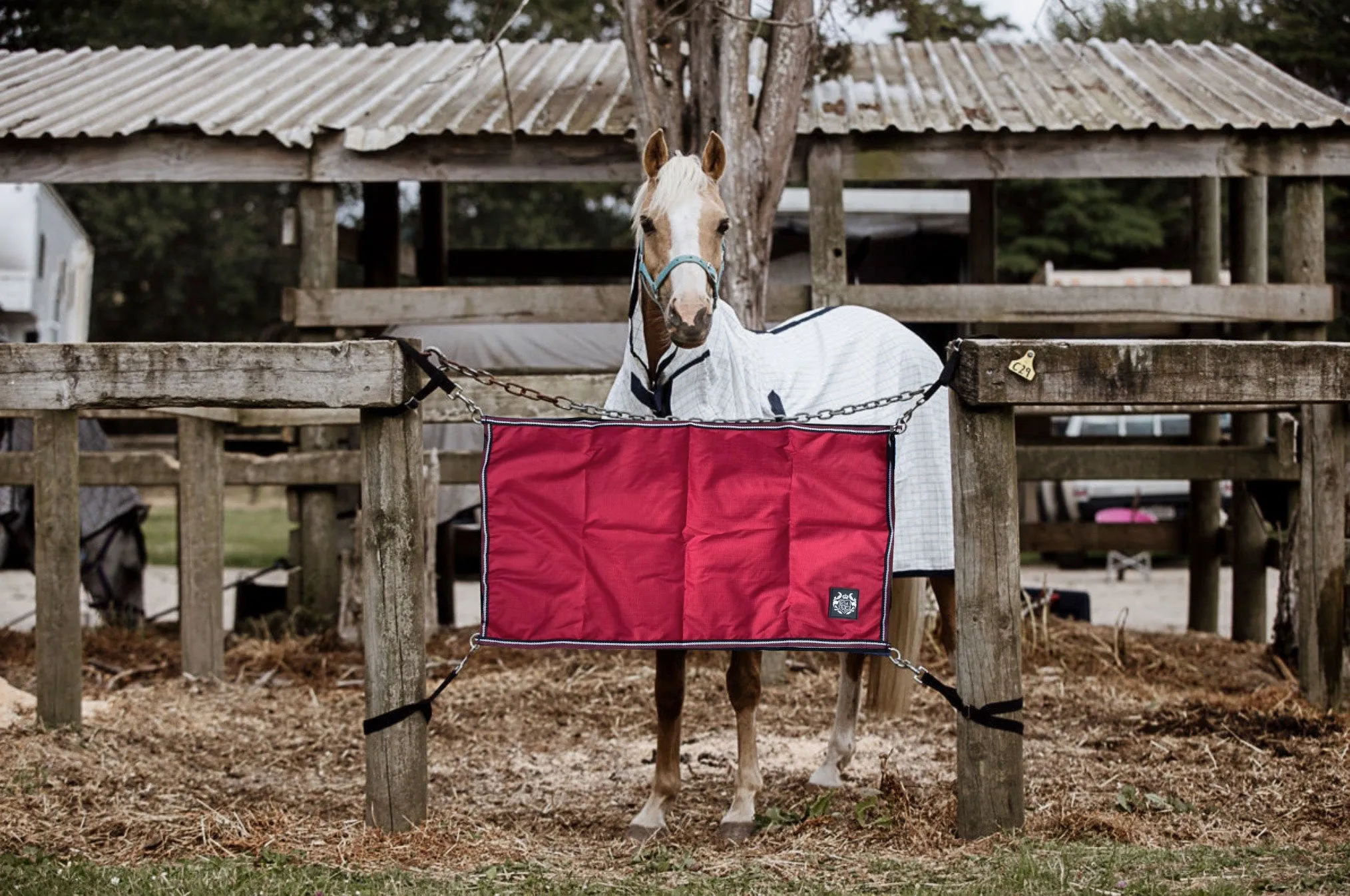 Red Stable Guards