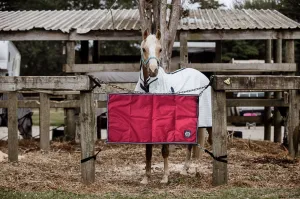 Red Stable Guards